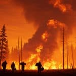 Feux de Forêt au Canada : Manitoba en État d'Urgence