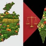 L'Irlande Pionnière : Interdiction des Produits des Colonies Israéliennes