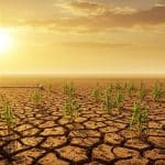 Sécheresse Exceptionnelle : Le Nord de l'Europe en Alerte