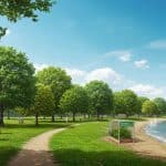 1000 Arbres Locaux pour un Parc Écologique à Courseulles