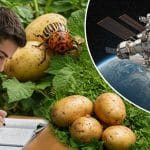 Brevet 2025 : Sujets Sciences et Conseils Réussite