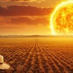 Canicule en France : Où Fait-il le Plus Chaud Aujourd’hui ?