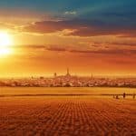 Canicule en France : Où Sera-t-il le Plus Chaud Vendredi ?