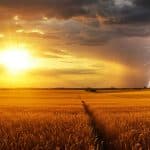 Chaleur en France : Où Sera-t-il le Plus Chaud ce Jeudi ?