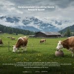 Dermatose Bovine en Savoie : Alerte et Dépeuplement