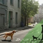 Fichage ADN Canin : Une Solution Contre les Déjections ?