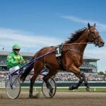 Jingle Du Pont Triomphe Au Grand National Du Trot À Laval