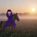 Léna, 10 Ans, Perd Son Combat Contre un Cancer Rare