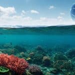 Protection Des Océans : Un Sommet Décisif À Nice