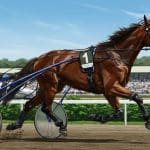 Quinté à Vincennes : Fergie Highland, la Star de 10 Ans