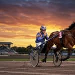 Quinté Enghien 2025 : Alexis Collette Vise Plus Haut