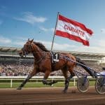 Quinté Vincennes : Écurie Chavatte Triomphe Avec Eleonora Grif