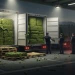 Saisie Record de Cannabis Caché dans des Olives