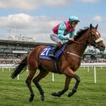 Thomas Journiac : Le Jockey Prodige de 21 Ans Brille