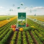 Vilmorin : Les Pionniers des Semences en France