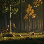 Arbres Plantés Par Macron Dévorés Par Les Cerfs Dans Le Jura