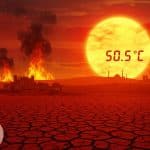 Canicule Record en Turquie : 50,5 °C et Incendies Dévastateurs