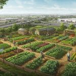 Chambourcy : Maraîchage Local Sauve une Friche Urbaine