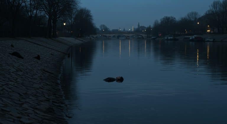 Clichy : Tragédie d’un Migrant Retrouvé dans la Seine