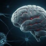 Covid Long : Le Virus Persiste dans le Cerveau Jusqu’à 80 Jours