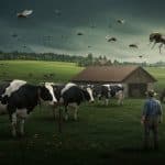 Dermatose Bovine : Vaccins et Résistance en Savoie