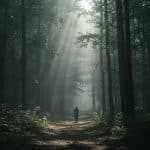 Disparition à Besançon : Le Mystère de la Forêt de Chailluz