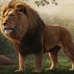 Femme Blessée par un Lion : Drame dans un Zoo Australien