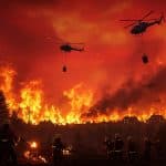Feux en Europe : Portugal en Lutte, Espagne Respire