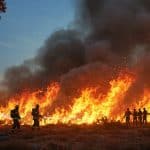 Incendie en Crète : 5000 Évacués, Touristes en Danger