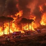 Incendie Narbonne : Feu Actif, A9 Fermée, Confinement