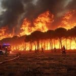 Incendie Narbonne : Pourquoi la Lutte S’annonce Difficile