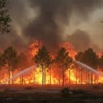 Incendies au Portugal : La Lutte Contre les Flammes S’intensifie