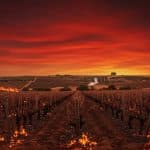 Incendies en Occitanie : La Crise Agricole s’Intensifie