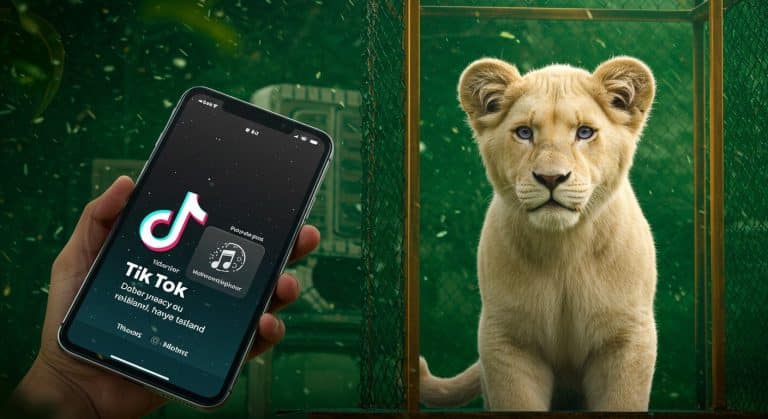 Lions de Compagnie en Thaïlande : Une Tendance Inquiétante