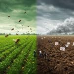 Loi Duplomb : Pourquoi un Million de Signatures ?