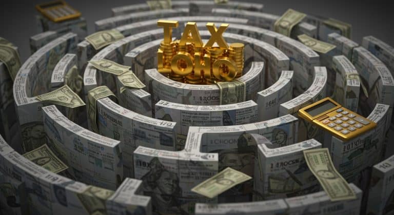 Niches Fiscales : Le Grand Ménage Annoncé