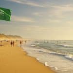 Noyades en Vacances : Alerte sur les Plages