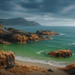 Ostreopsis : La Micro-Algue Toxique Qui Menace Les Plages