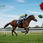 Quinté à Chantilly : Sofie Lanslots, la Reine du Sprint