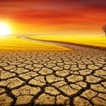 Sécheresse Record en Europe : Juillet 2025 Bat Tous les Records