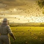 Tragédie Apicole : Un Homme Succombe aux Piqûres d’Abeilles