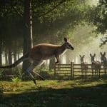 Wallaby en Fuite : Évasion Insolite dans le Puy-de-Dôme