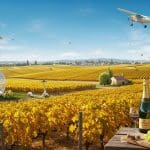 5 Activités Originales Dans les Vignes de Champagne
