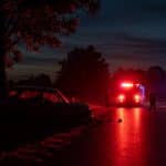 Accident Mortel à La Celle-sur-Morin : Drame sur la RD 216