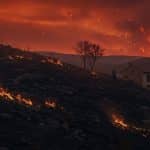 Aude : Mégafeu Dévaste, Résilience Face aux Flammes