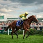 Bad Boy Triomphe au Quinté de ParisLongchamp