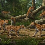 Bébés Zorilles : Naissance Rare à Biotropica