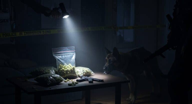 Cache d’Armes et Drogue Saisie à Compiègne : Enquête Explosive