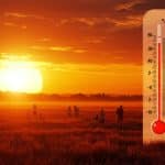 Canicule 2025 : 28 Départements en Alerte Orange Samedi