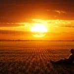 Canicule 2025 : Quand la Chaleur Va-t-elle Enfin Baisser ?